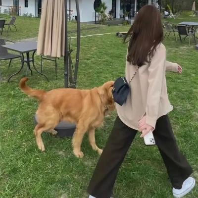 秘密特工